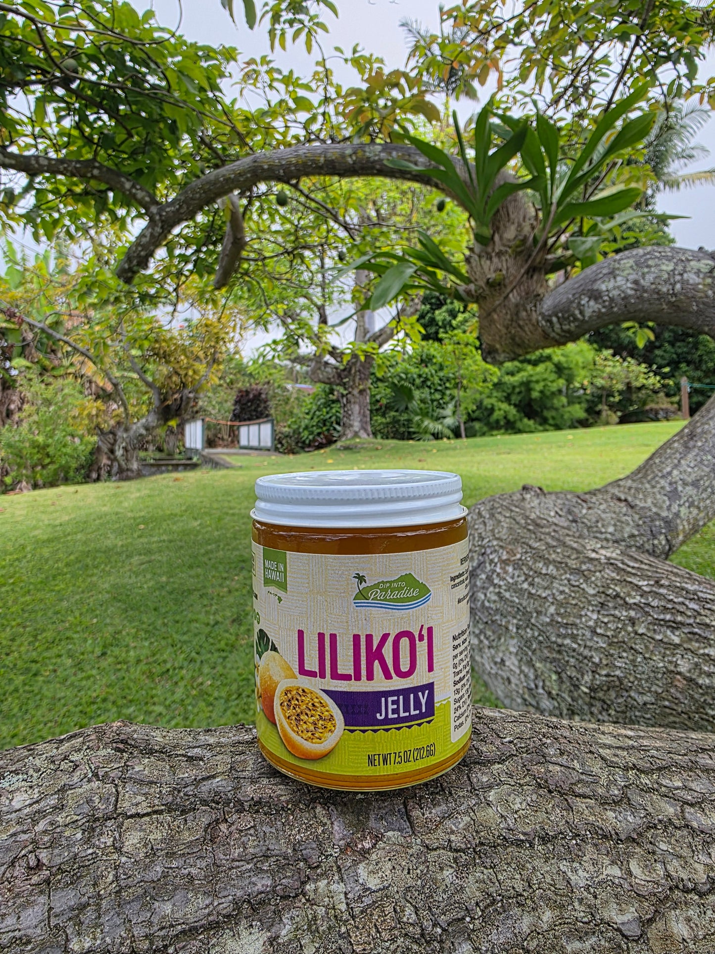 Dip into Paradise Lilikoi Jelly