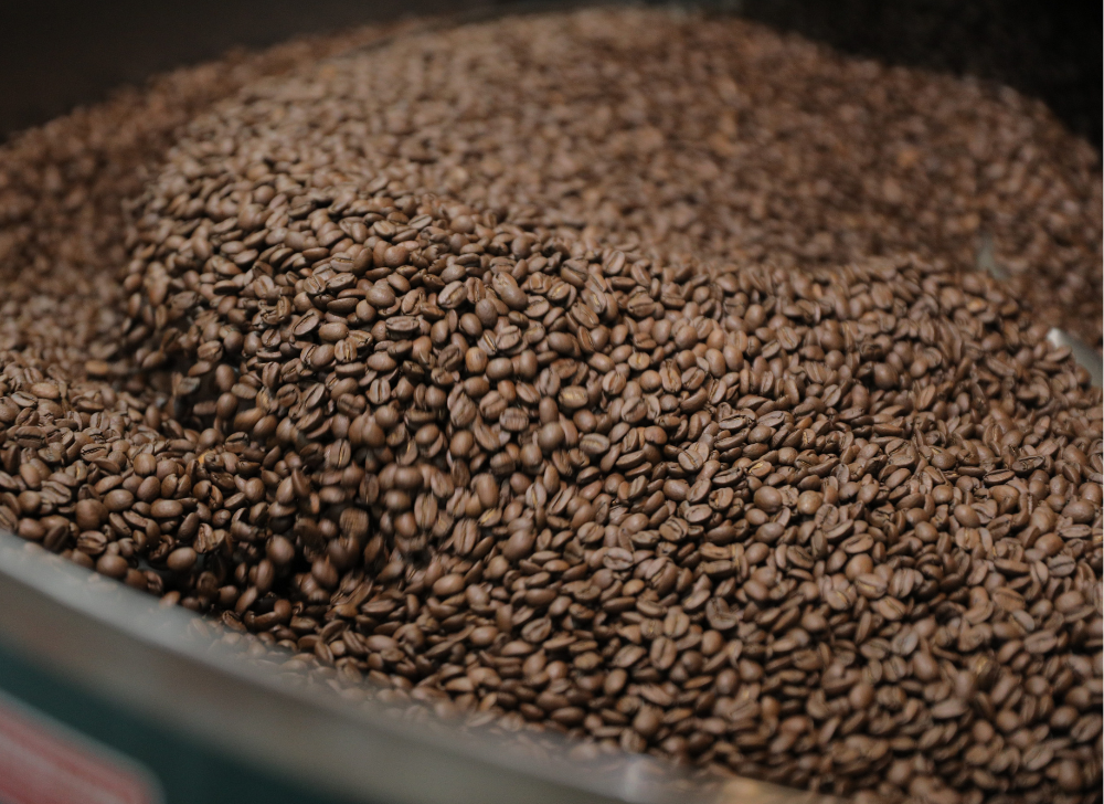 Freshly roasted coffee beans cooling in a large roasting drum at Greenwell Farms