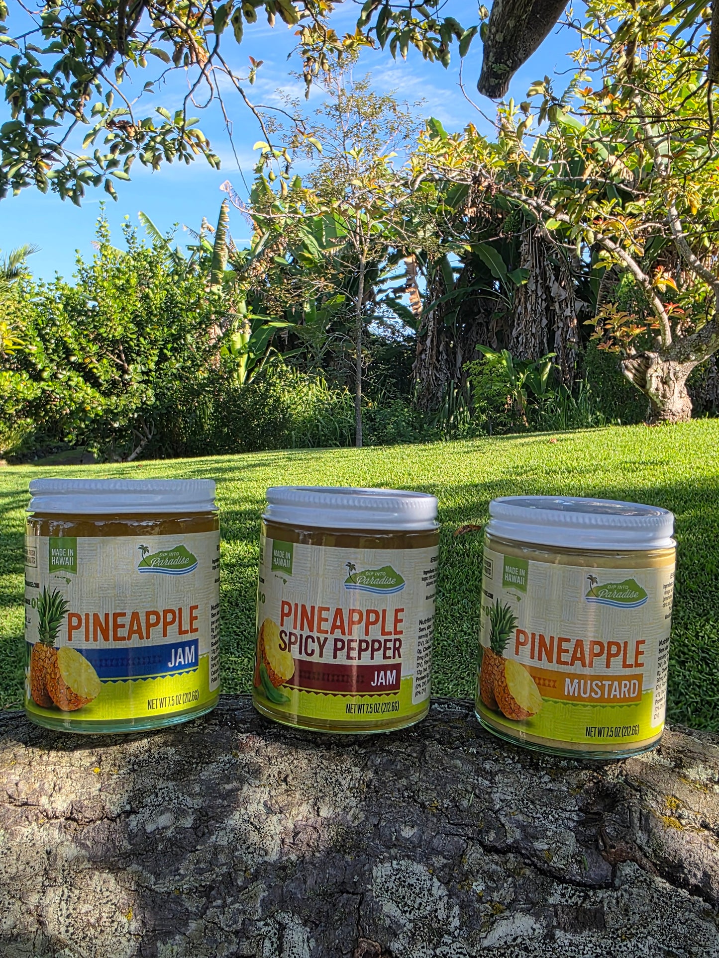 Dip into Paradise Pineapple Jam