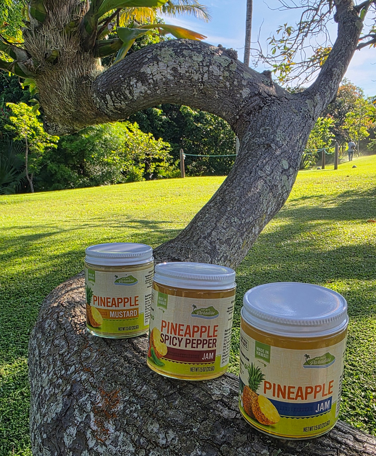 Dip into Paradise Pineapple Mustard