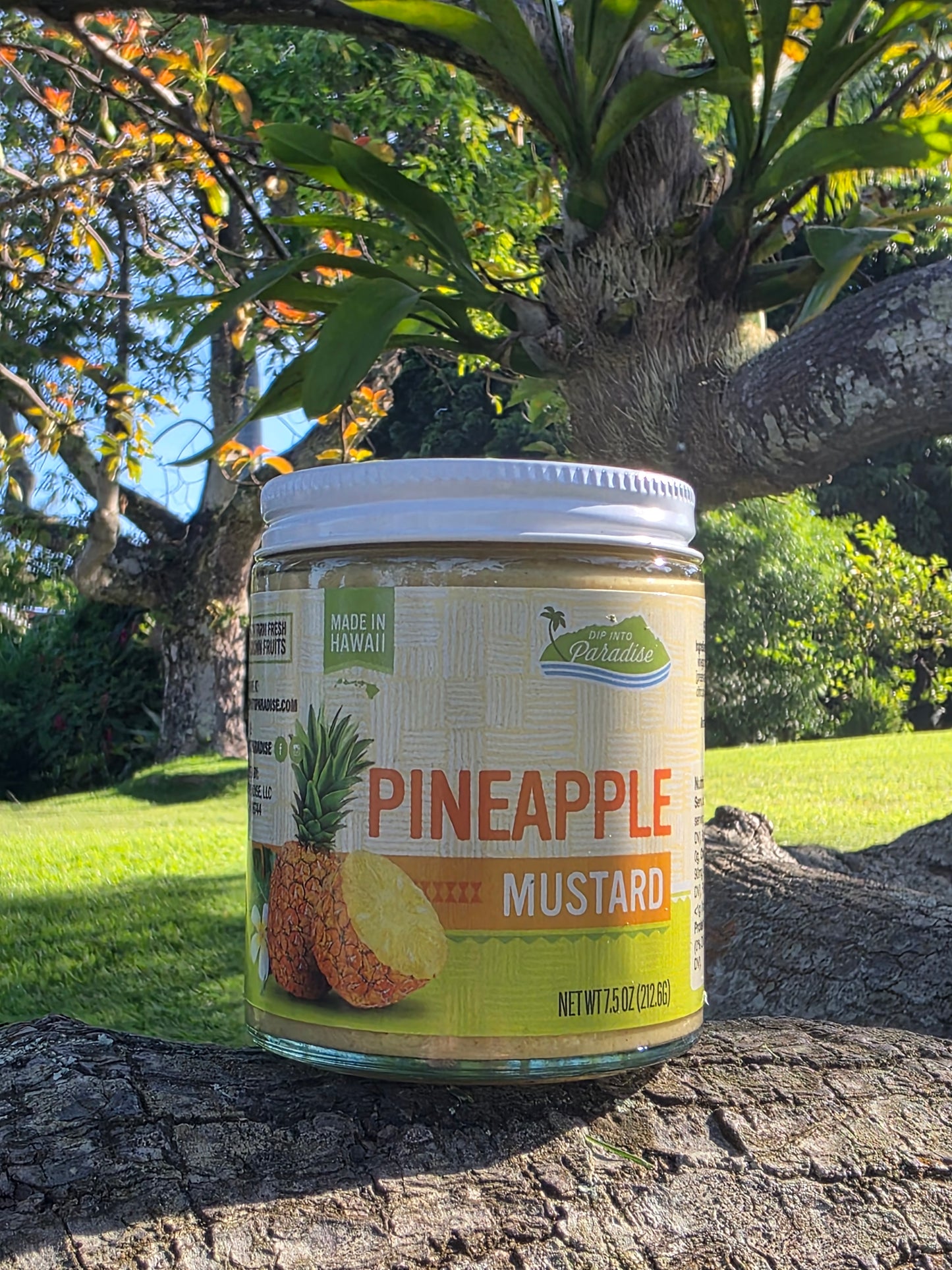 Dip into Paradise Pineapple Mustard
