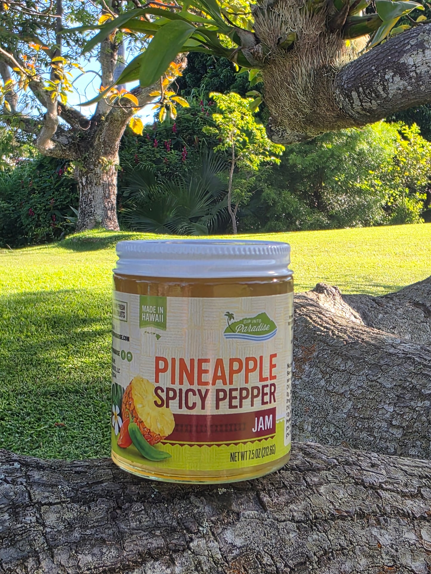 Dip into Paradise Pineapple Spicy Pepper Jam