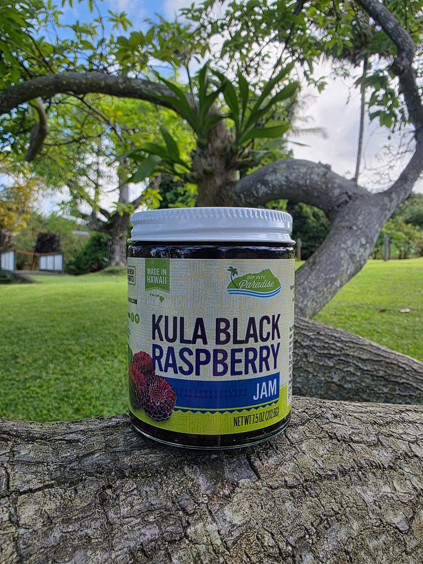Kula Black Raspberry Jam