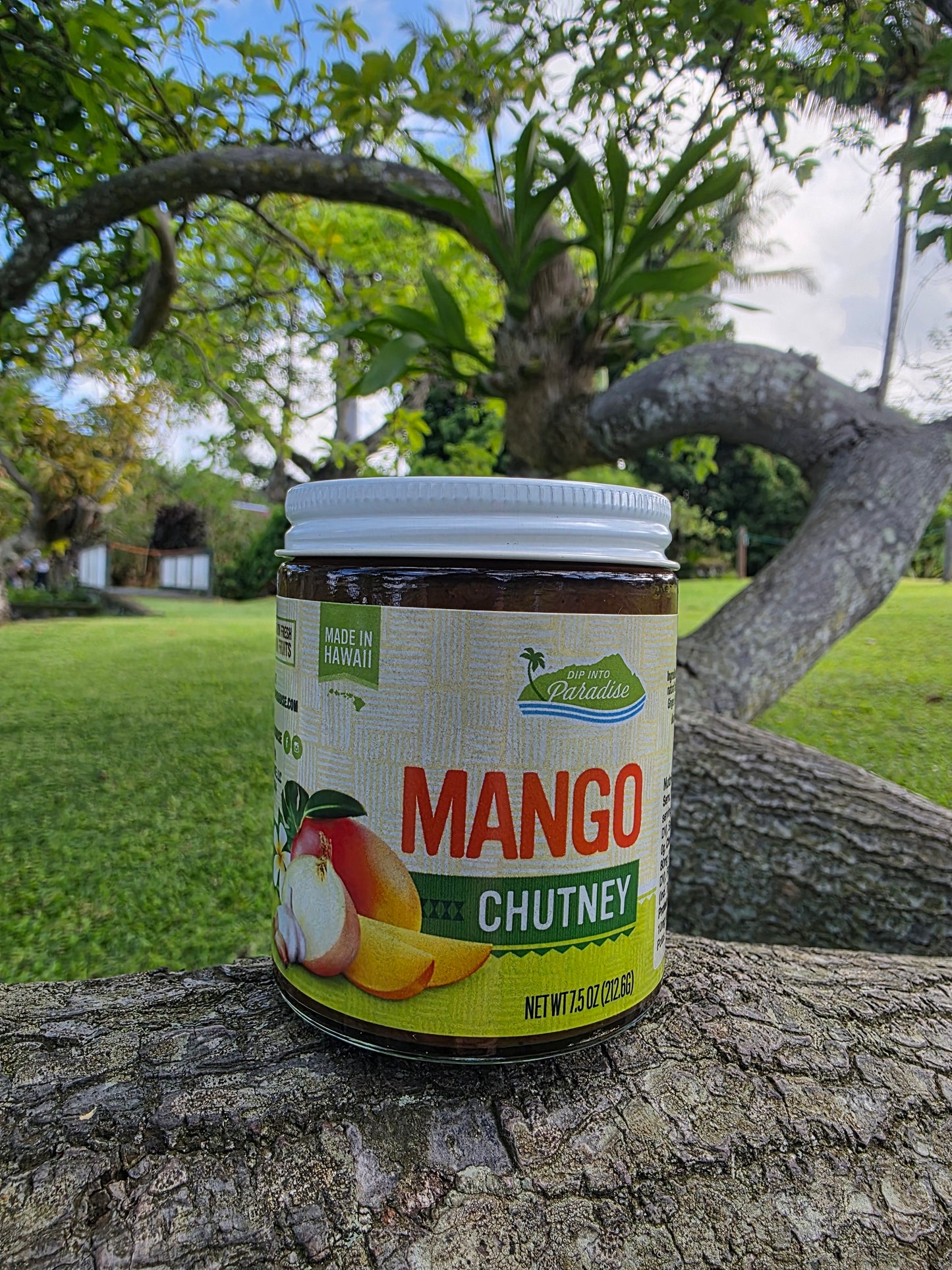 Mango Chutney Jam