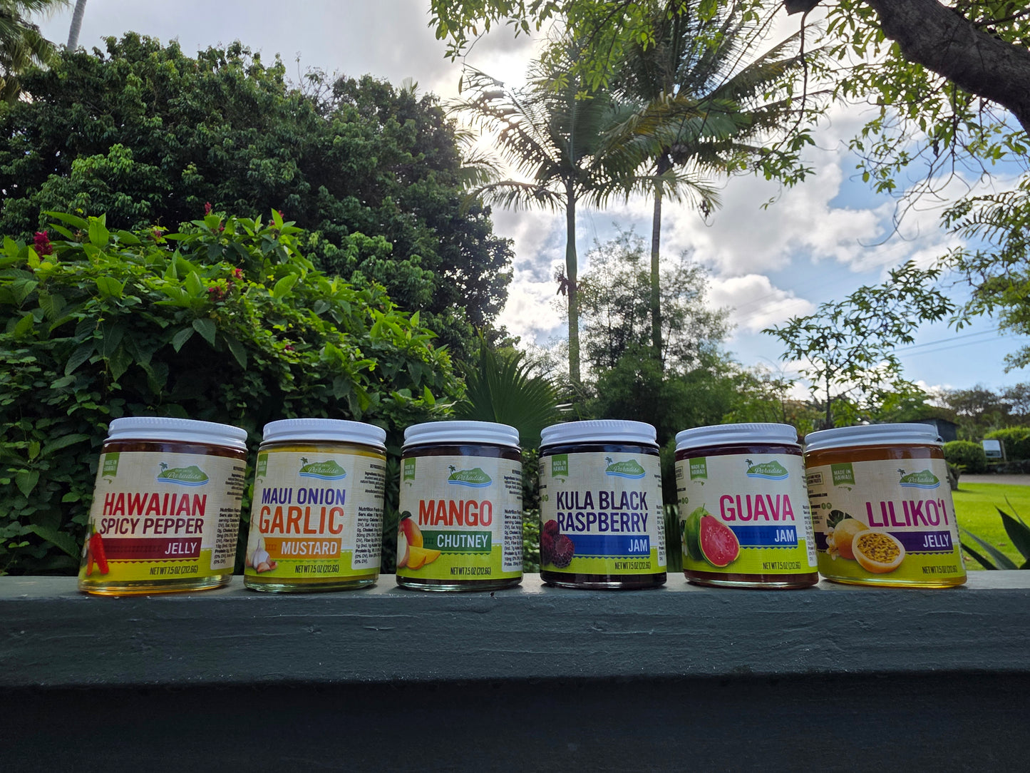 Dip into Paradise - Jams Jellies Group