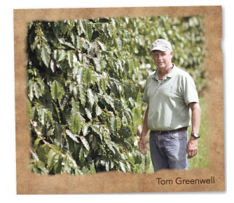 Tom Greenwell