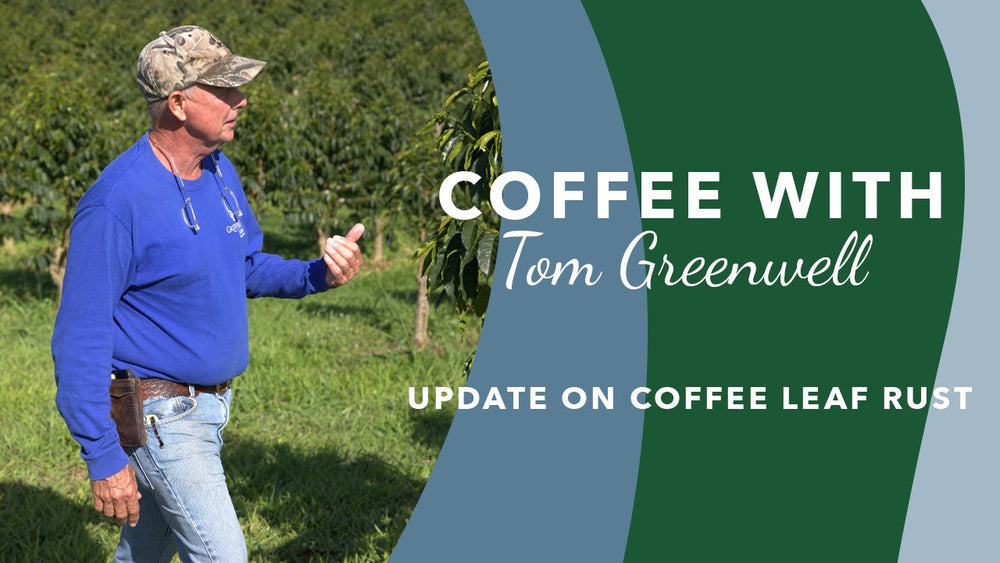 Update on Coffee Leaf Rust