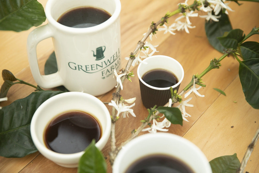coffee cups