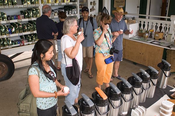 Visitors Tasting Kona Coffee