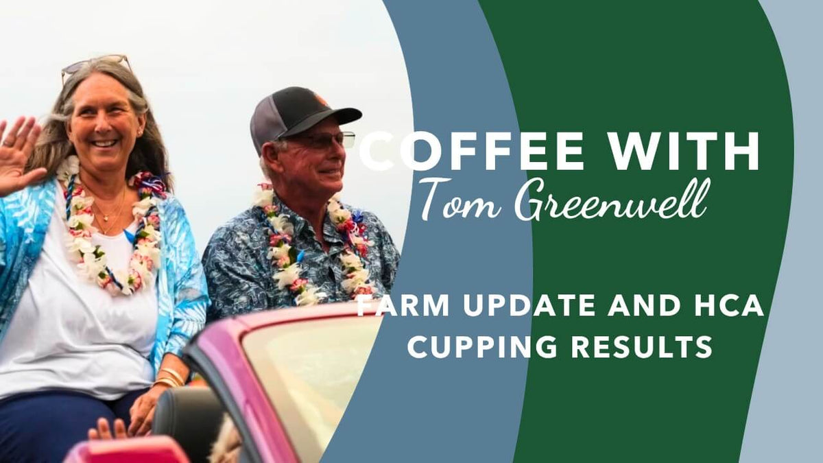 Farm Update and HCA Cupping Results - Coffee with Tom Greenwell
