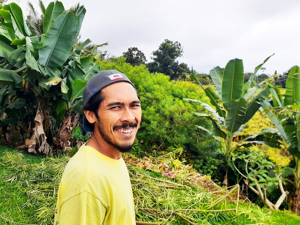 Bronson - Greenwell Farms Kona Coffee Tour Guide