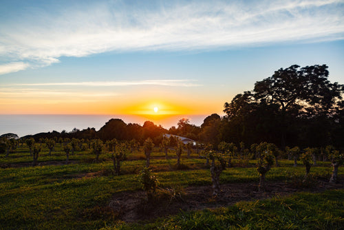 Beautiful Sunset on Kona, Hawaii