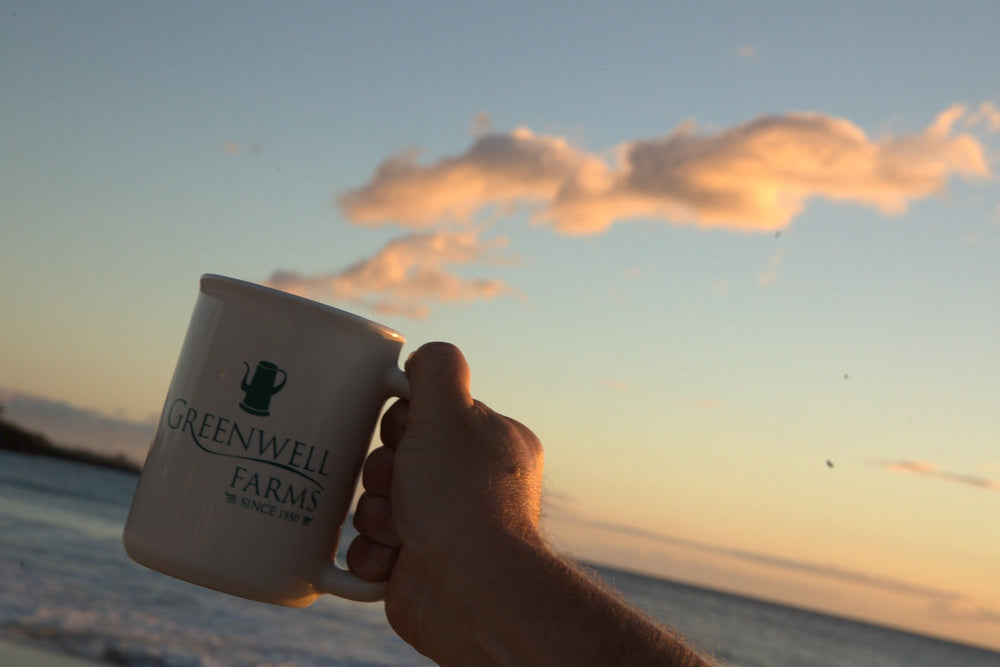 Coffee in the Classroom