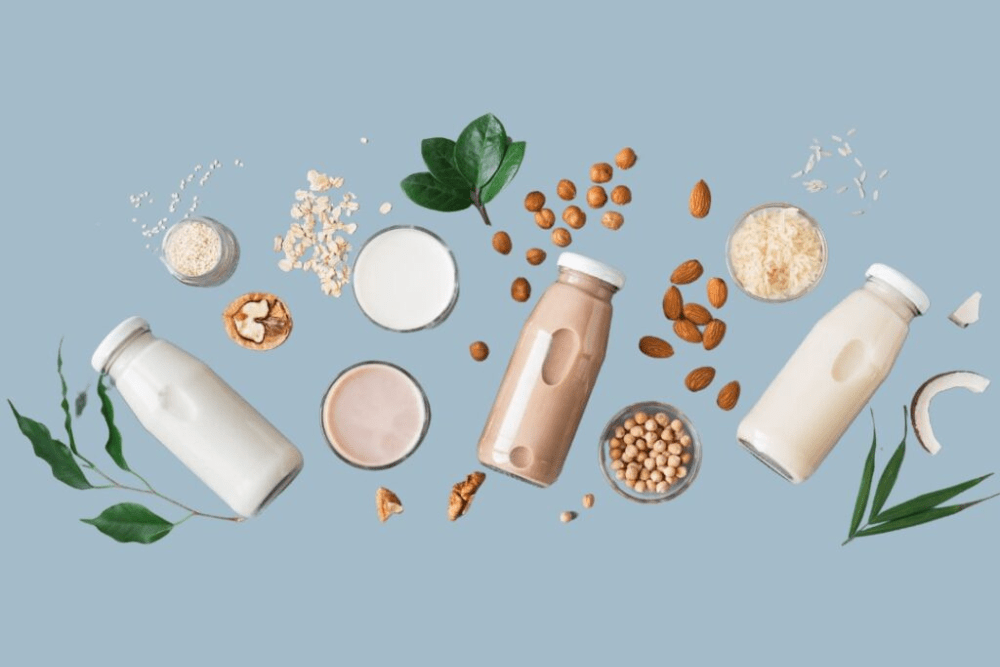 array of different milks