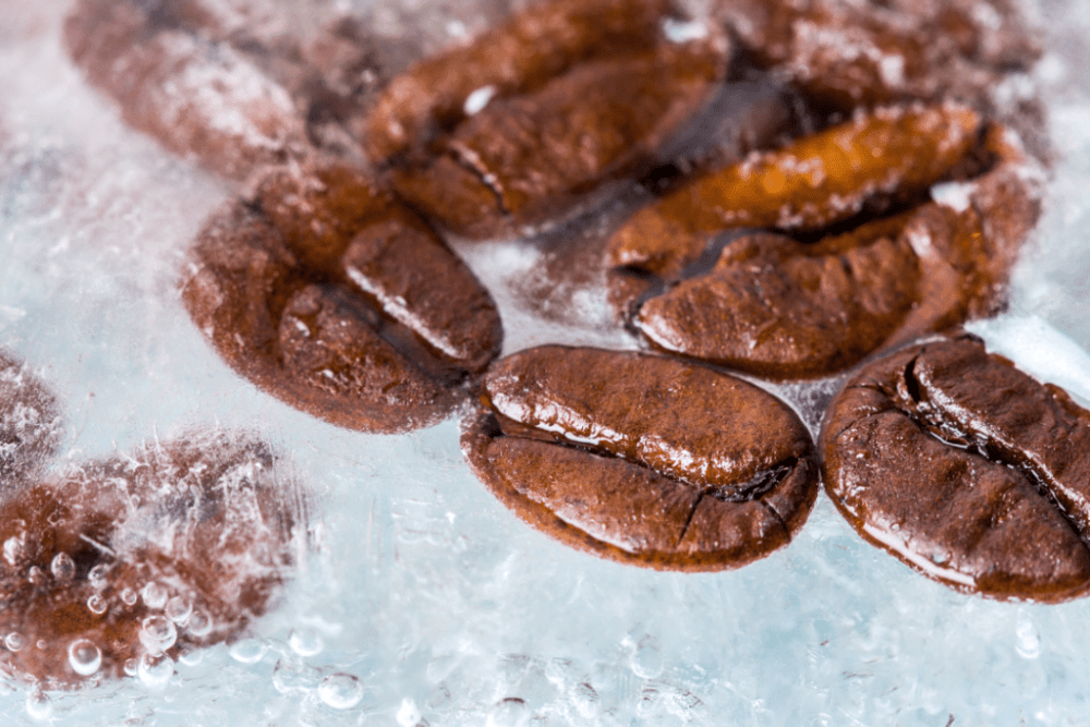 Frozen Coffee Beans