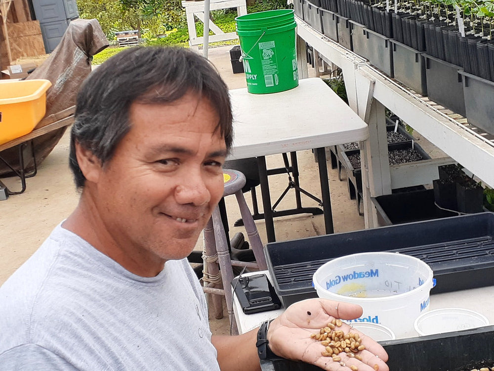 Kawena - Greenwell Farms Tour Guide