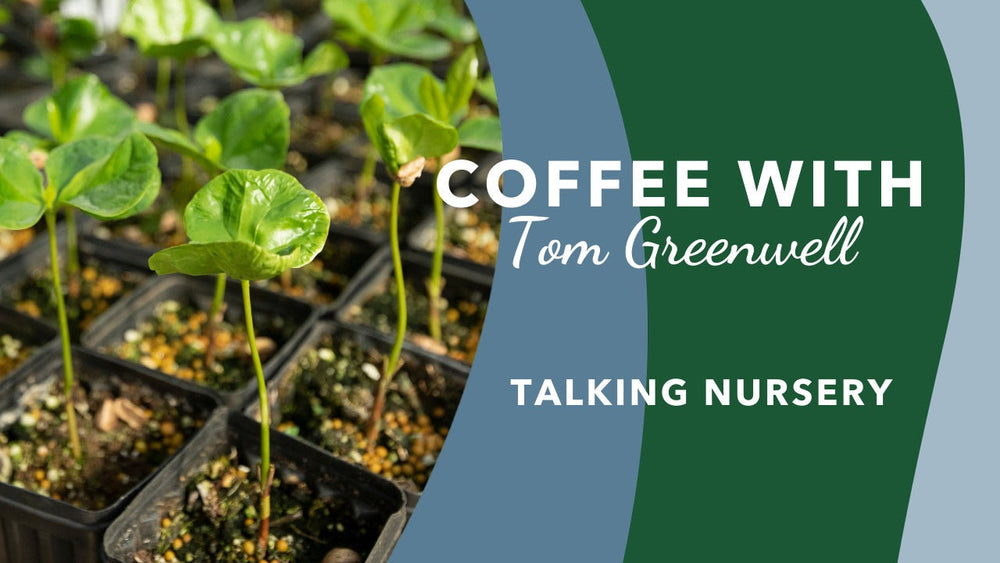 Behind the Nursery