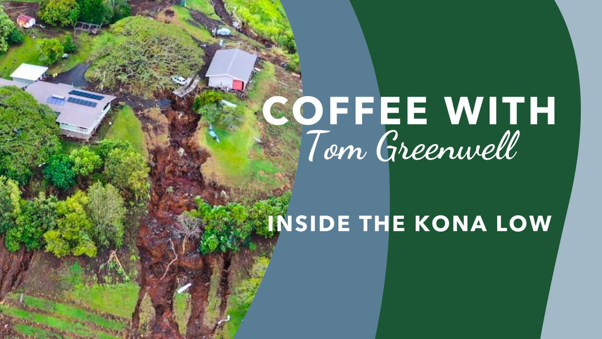 Inside the Kona Low