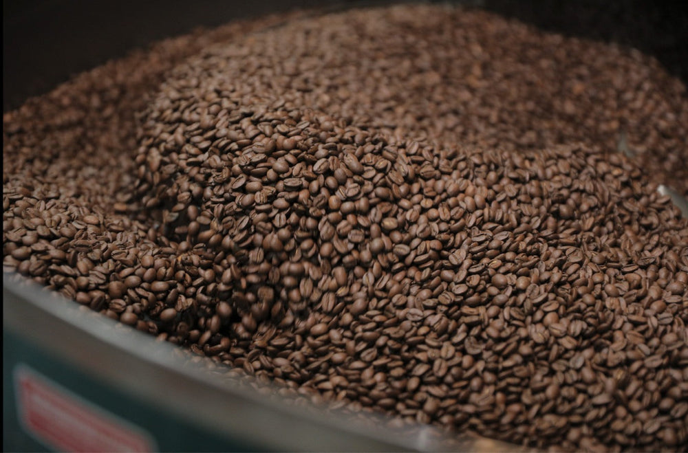 Coffee Knowledge Portal