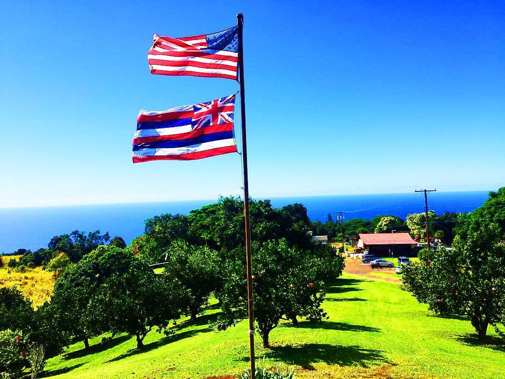 American Flag