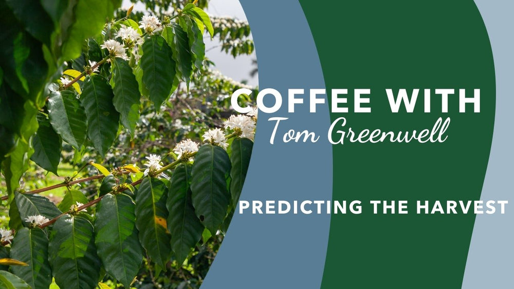 Predicting the harvest
