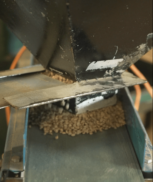 Optical Sorting