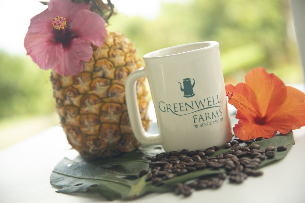 Picture of coffee cup next to pineapple showing correct ratio of coffee to water