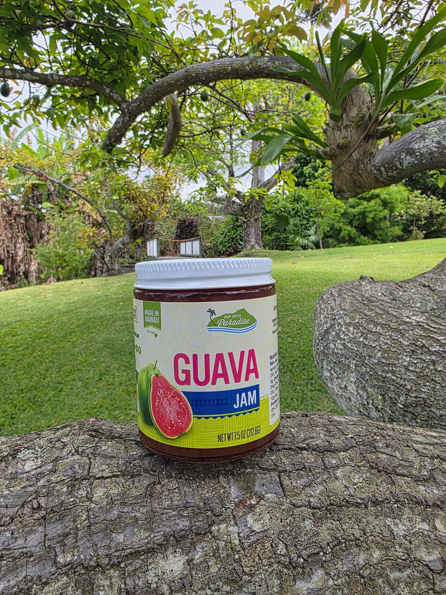 100% Hawaiian guava jam by Dip Into Paradise