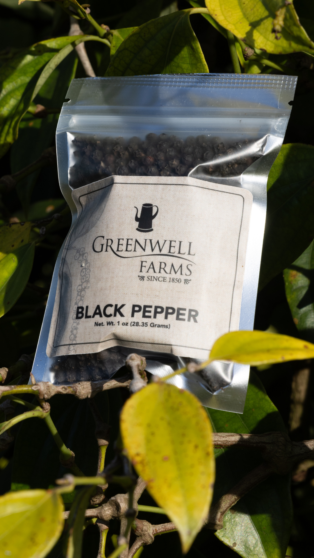Dad’s Morning Brew and Grill Bundle