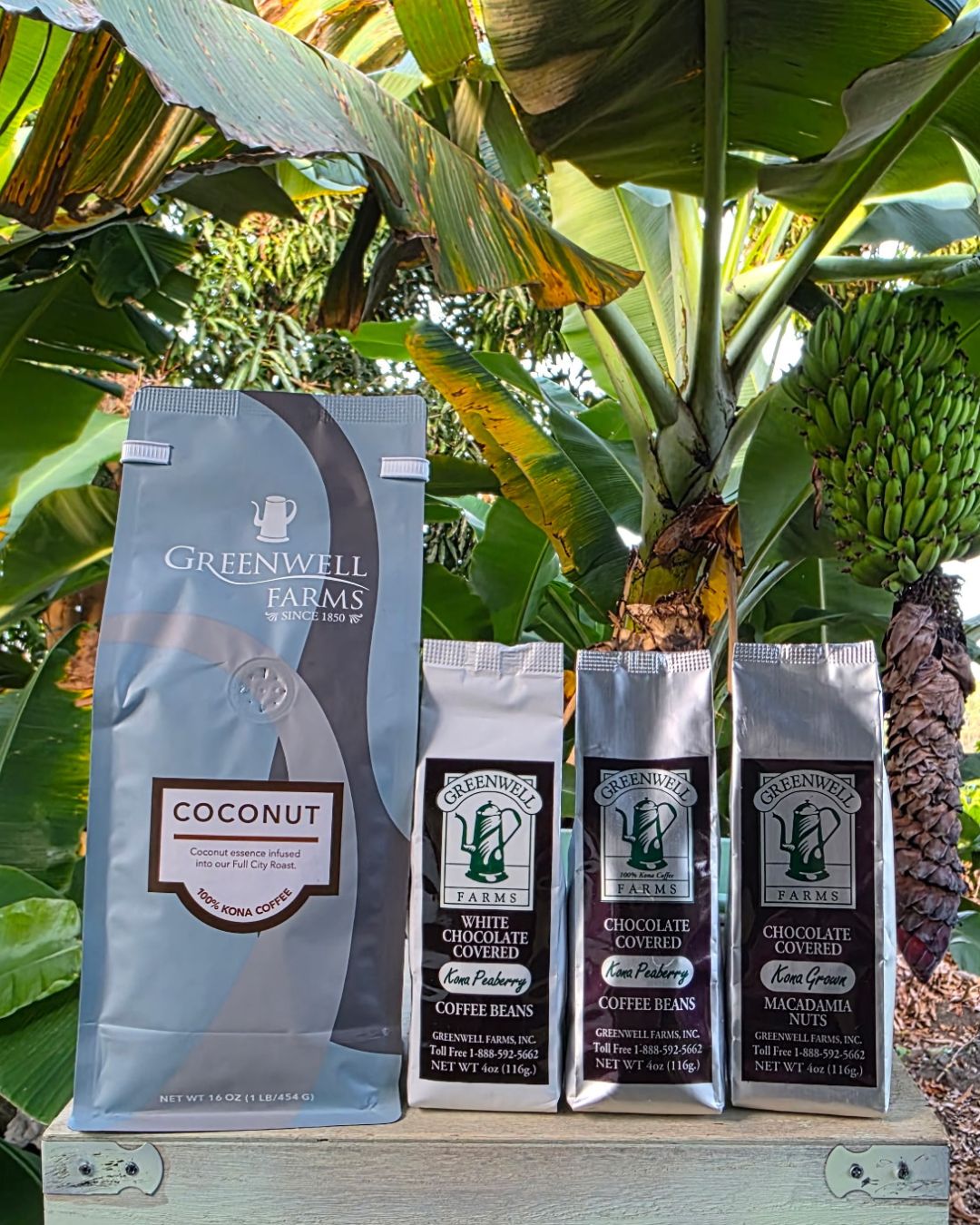 Brewed for Two Bundle