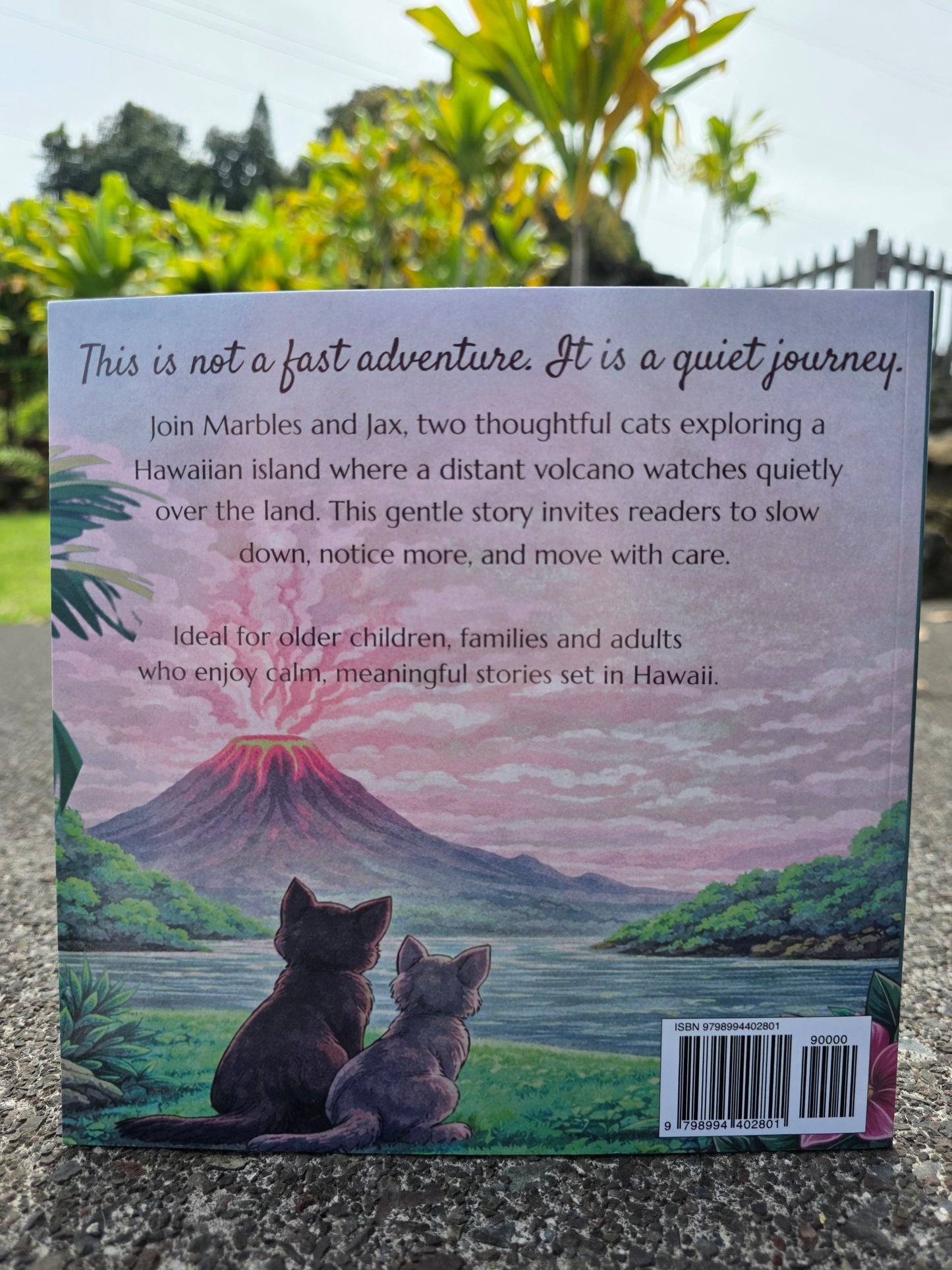 Marbles & Jax Aloha Volcano Quest - Back