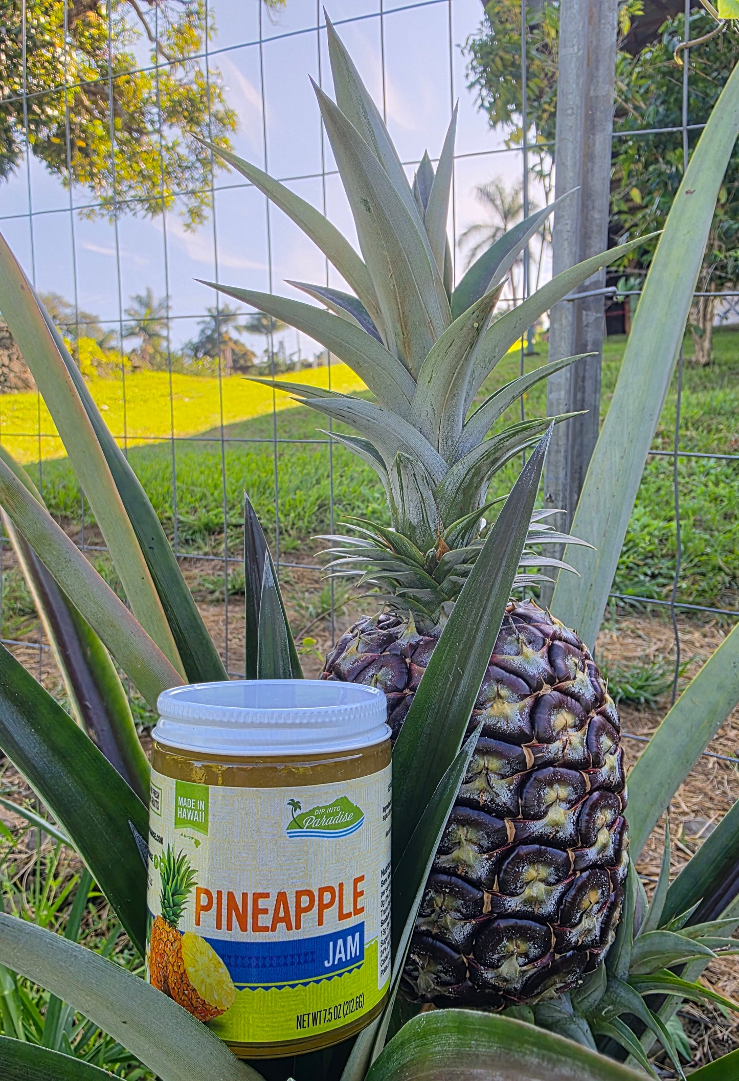 Dip into Paradise Pineapple Jam
