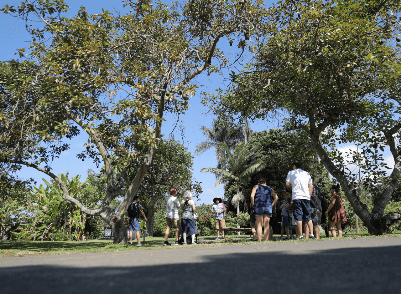 coffee farm tours big island