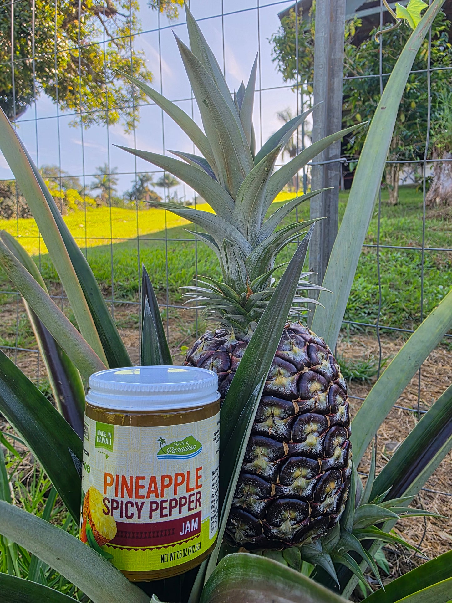 Dip into Paradise Pineapple Spicy Pepper Jam